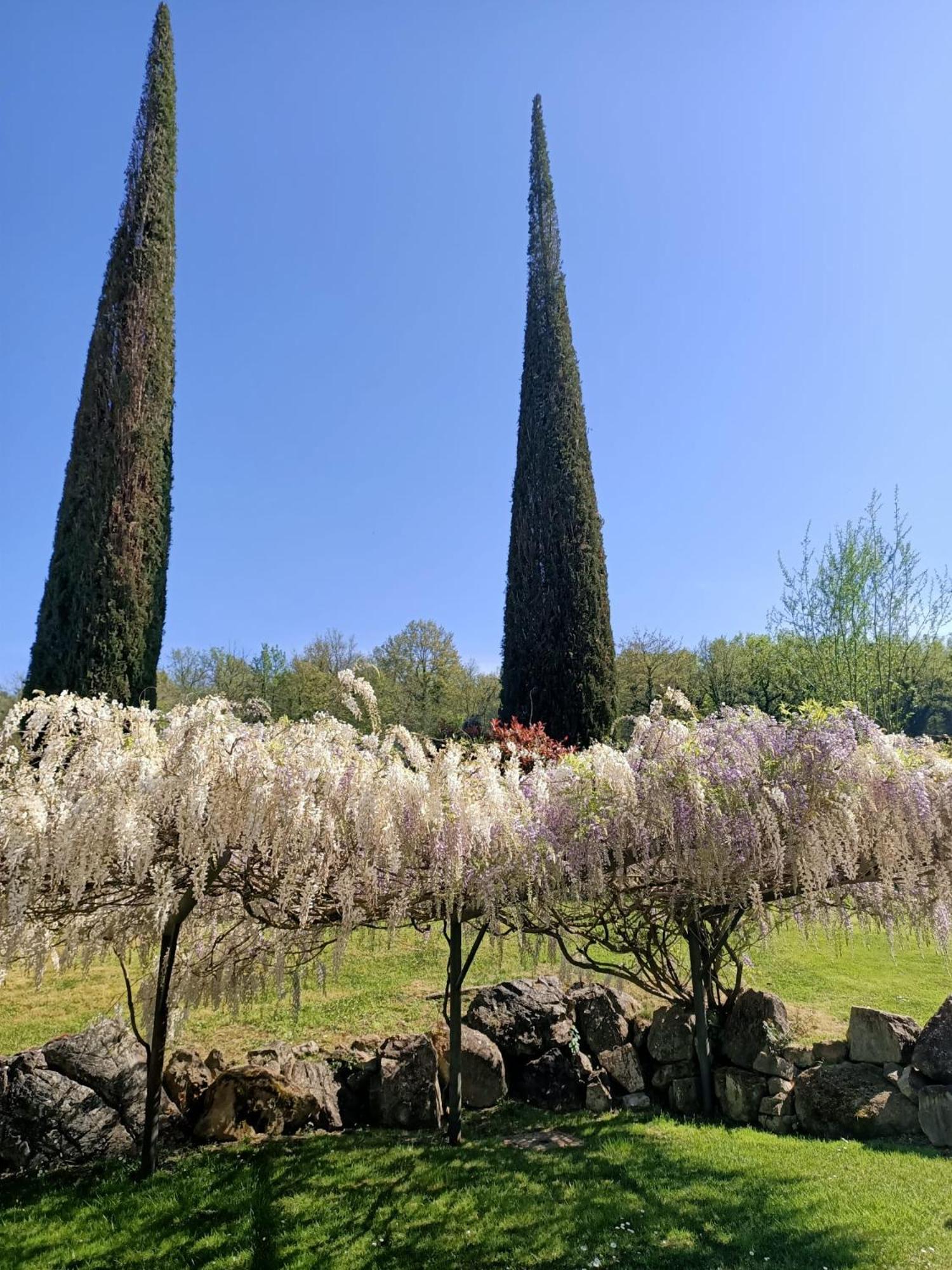 Hotel Relais Osteria Dell'Orcia Bagno Vignoni Esterno foto